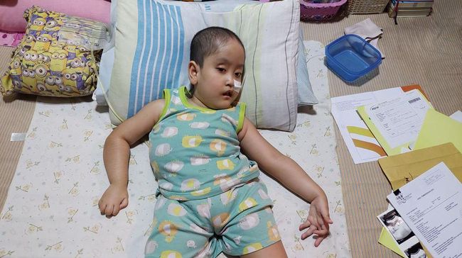 Mari donasi melalui berbuatbaik.id untuk bantu pengobatan Bian, bocah 6 tahun yang mengidap komplikasi penyakit sejak lahir.