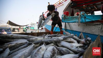 KKP Minta Tambahan Rp1,7 T Buat Pulihkan Sektor Perikanan di Sumatra
