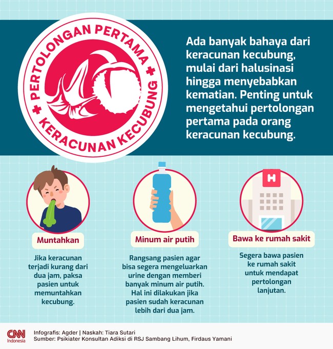 Banyak bahaya dari keracunan kecubung, mulai dari halusinasi hingga sebabkan kematian. Penting mengetahui pertolongan pertama pada orang keracunan kecubung.