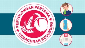 INFOGRAFIS: Pertolongan Pertama Keracunan Kecubung