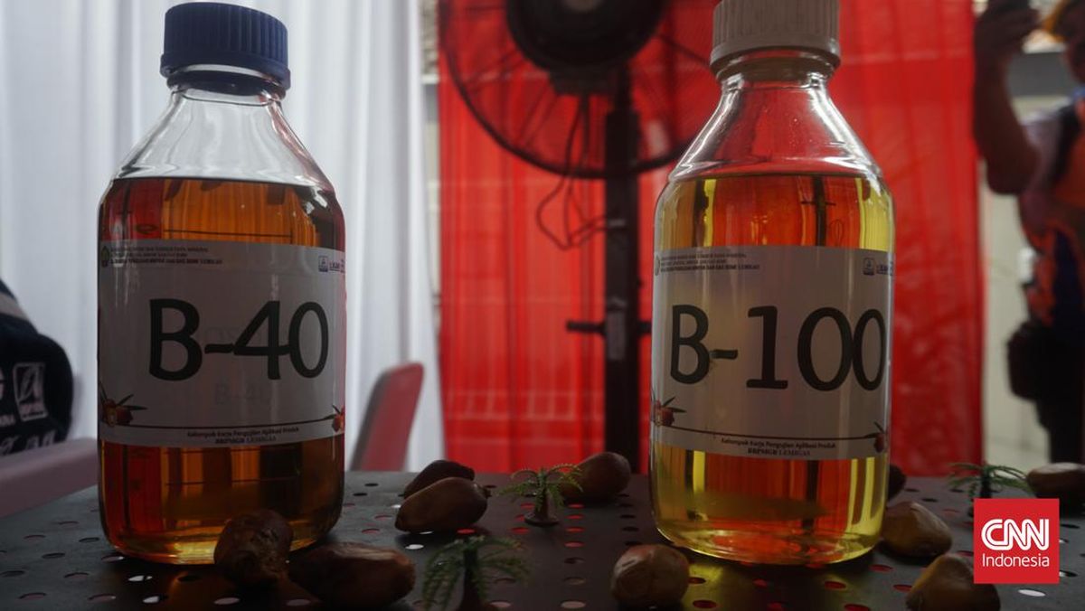 Biodiesel B50 Masih Dikaji, B40 Diterapkan Tahun Ini