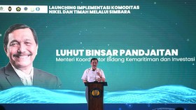 Luhut Sebut Membangun Ekosistem EV Tak Cuma Memberi Insentif