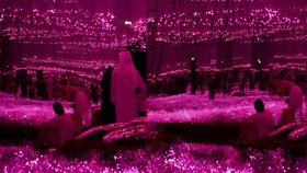 FOTO: Aya Universe di Dubai, Jelajahi Taman Cahaya bak ke Dimensi Lain