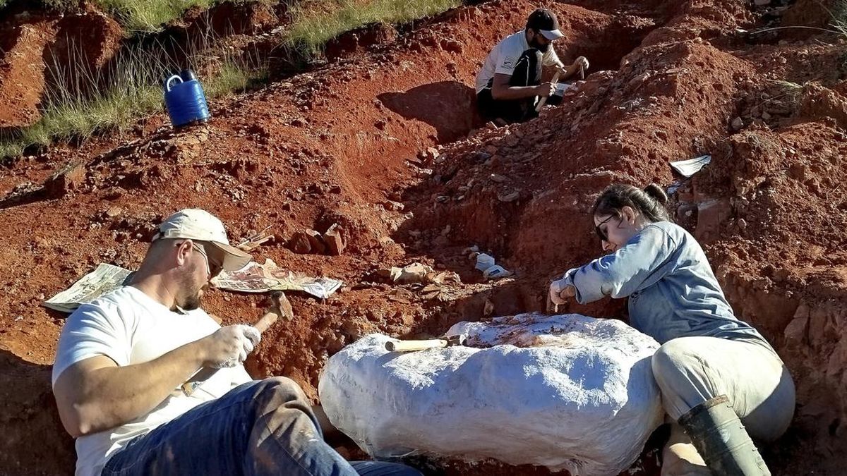 Proyek Renovasi Tempat Parkir Disetop Usai Penemuan Fosil Dinosaurus