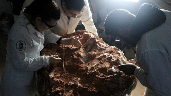 PHOTOS: 230-million-year-old carnivore fossils unearthed after Brazil floods