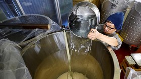 FOTO: Geliat Pabrik Sake Modern di Jantung Kota Tokyo