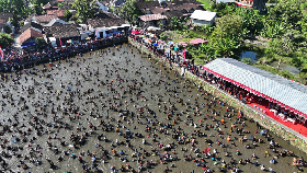 2 Ton Ikan Disebar di Festival Memet Ikan Desa Gemblegan Klaten