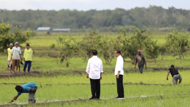 Kementan yakin upaya optimalisasi lahan rawa sebesar 40 ribu hektare di Merauke, Papua, dapat mencapai swasembada beras untuk diekspor.