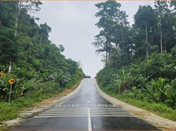 4 Ruas Jalan di Papua Rp 134 M Rampung, Anak-Anak Lebih Mudah ke Sekolah