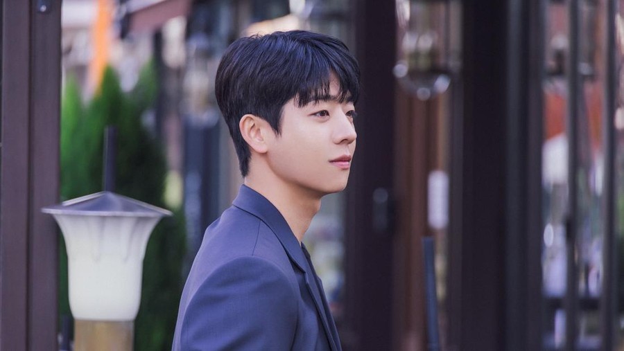 Chae Jong Hyeop Pemain Drakor Serendipity's Embrace