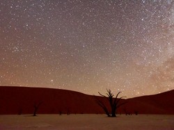 6 Tempat Tergelap di Bumi yang Cocok untuk Mengamati Bintang, Kamu Tertarik?