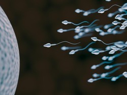 Viral Lomba Balap Sperma di AS, Gimana Cara Bikin Sperma Sehat dan Kuat?