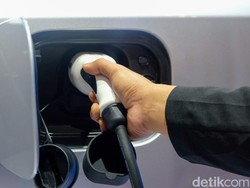 Airlangga Ungkap Populasi Kendaraan Listrik di Indonesia, Tembus Segini!