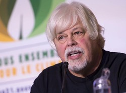 Pendiri Greenpeace Ditangkap di Greenland