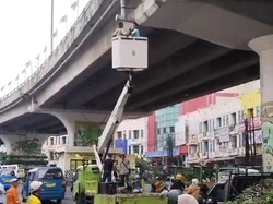 Akar Tanaman yang Bikin Coran Flyover Ciputat Rontok Sudah Dipangkas