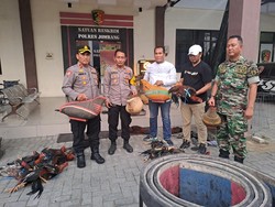 Arena Sabung Ayam Dekat Ponpes di Jombang yang meresahkan Digerebek