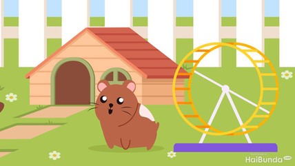 Detik Network