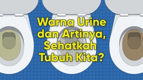 INFOGRAFIS: Warna Urine dan Artinya, Sehatkah Tubuh Kita?