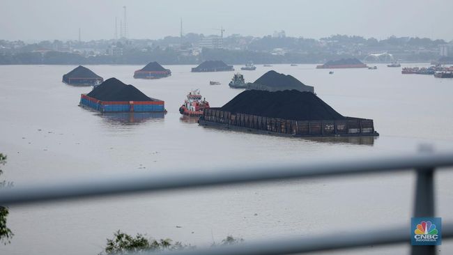 Tok! Harga Batu Bara Acauan (HBA) RI Januari 2025 Naik