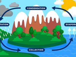 Siklus Air: Pengertian, Jenis, dan Proses Terjadinya