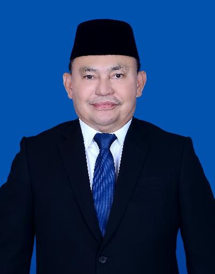 Ujang Iskandar (dok. DPR)