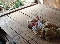 Tangisan Bayi di Gubuk Ciamis yang Sempat Bikin Warga Takut