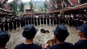 FOTO: Prosesi Terima Tamu Rambu Solo di Toraja