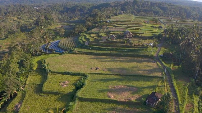 Berada di ketinggian 640 mdpl, Desa Angseri, Kecamatan Baturiti, Tabanan,  desa peraih Desa BRILiaN 2023 memang nyaman untuk wisatawan yang mencari ketenangan.
