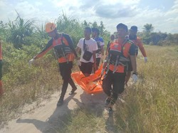 Kronologi Samiun Ditemukan Tewas Usai Diterkam Buaya di Bangka