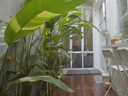 Inspirasi Taman Dalam Rumah ala Kafe, Ada Kolam Ikannya!