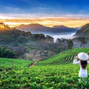 5 Aturan Unik di Vietnam, Ketahui Sebelum ke Sana!
