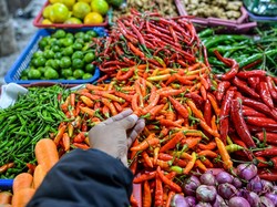 Harga Sembako Jatim 6 Januari 2025, Cabai Rawit Rp 77 Ribu