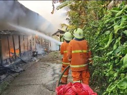 Sebanyak 12 Ribu Bibit Ayam Hangus Terbakar, Kerugian Rp 1,4 Miliar