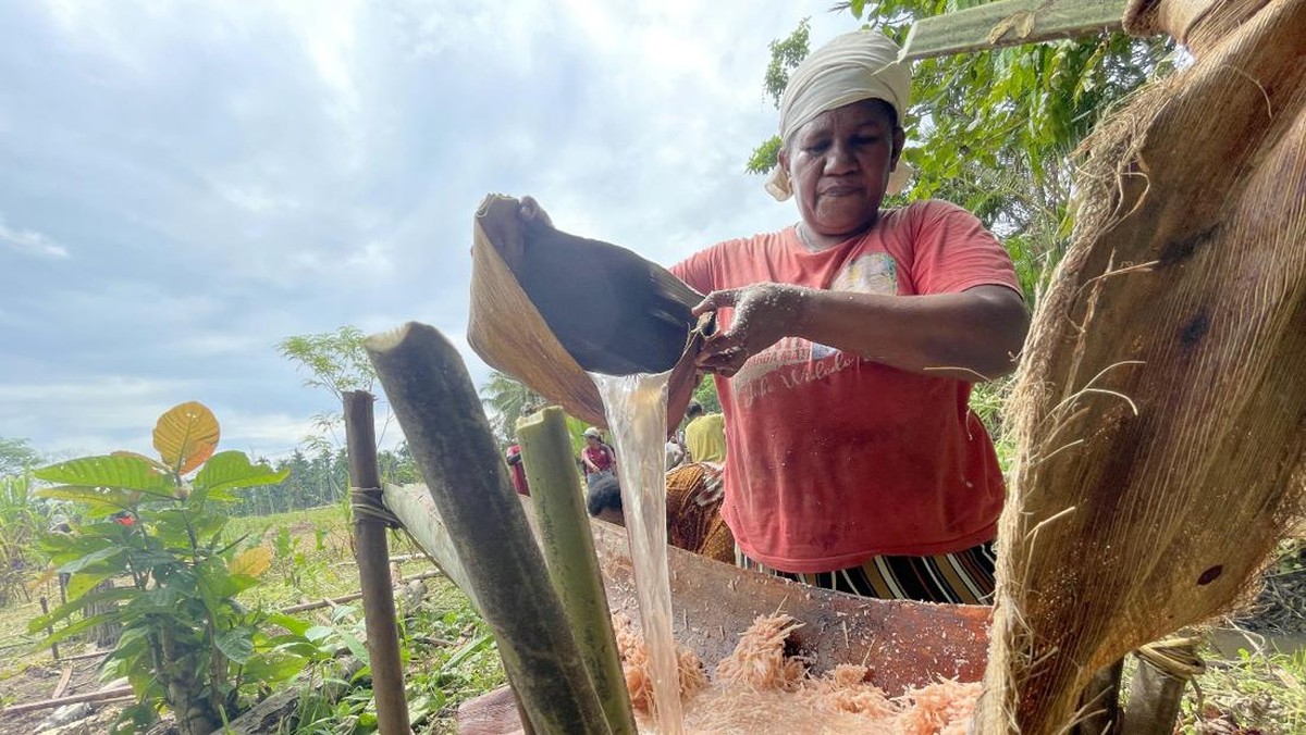 Fenomena di Timur Indonesia: Pelan-Pelan Sagu dan Umbi-umbian Ditinggal