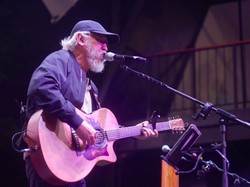 Lirik Lagu Tikus-Tikus Kantor - Iwan Fals