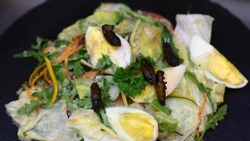 Jangan Salah Pilih, Ini 6 Rekomendasi Saus Salad Sehat di Supermarket