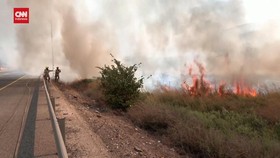 Israel Dilanda Kebakaran Hutan, Netanyahu Langsung Rapat Darurat