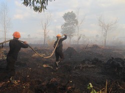Ada 3 Titik Api Karhutla di Kubu Raya