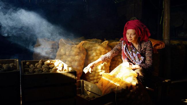 BRI Catat Bisnis UMKM Membaik dan Prospektif di Triwulan II/2024