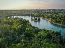 Hari Hutan Hujan Sedunia 22 Juni: Sejarah dan Cara Merayakannya