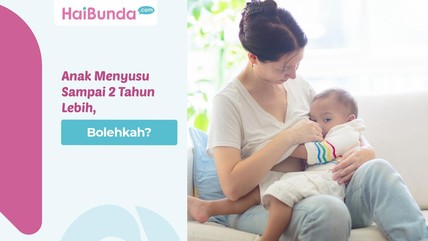 Detik Network