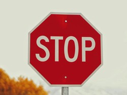 Viral Kontestan Acara TV Bunuh dan Makan Burung yang Dilindungi Negara