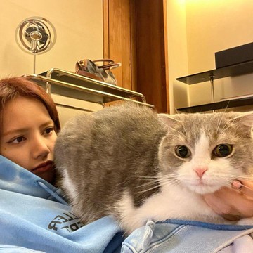Sederet Idol K-Pop yang Memelihara Kucing Lucu di Rumah