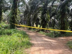 Pekerja Migran Asal NTB Ditembak di Kebun Sawit Malaysia