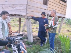 Lagi! Gajah Liar Hancurkan Pondok dan Kebun Sawit di Muratara