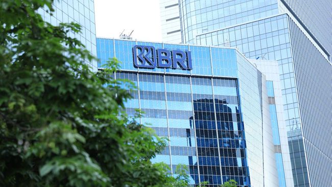 Pemerintah Apresiasi BRI Atas Kontribusi Pembayar Pajak Terbesar