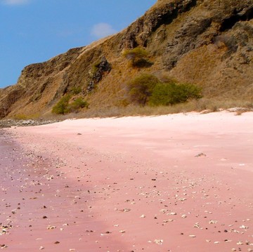 10 Pantai Paling Indah di Dunia yang Bisa Bikin Terpukau, Salah Satunya Ada dari Indonesia!