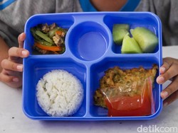 Makan Bergizi Gratis Berpotensi Jadi Lahan Korupsi