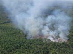 Mura dan Ogan Ilir Naik Status, Total 10 Pemda di Sumsel Siaga Darurat Karhutla