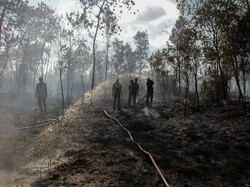 3 Provinsi di Kalimantan Rawan Karhutla, BMKG Siapkan Strategi OMC